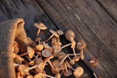 Close-up of mushrooms on wooden table