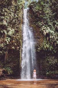 Woman standing by waterfall in forest