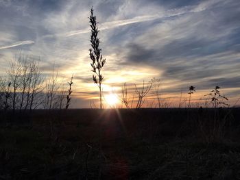 Scenic view of landscape at sunset