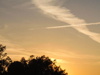 Low angle view of silhouette trees against sky during sunset