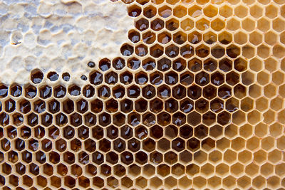 Full frame shot of patterned wall