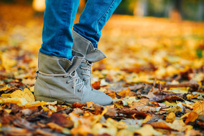 Low section of person standing on autumn leaves