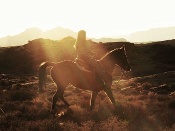 Teenage girl riding horse on field against sky during sunset