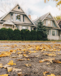 Autumn leaves on house against sky