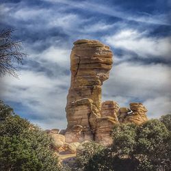 Low angle view of trees against sky