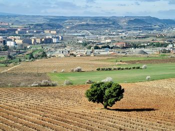 Scenic view of agricultural field against sky