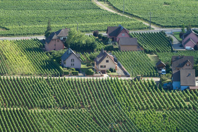 High angle view of houses