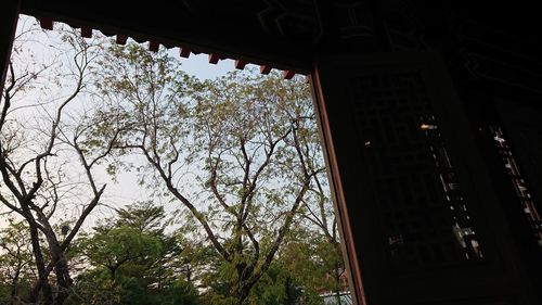 Low angle view of trees and building against sky