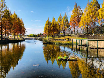 Scenic view of lake by trees during autumn