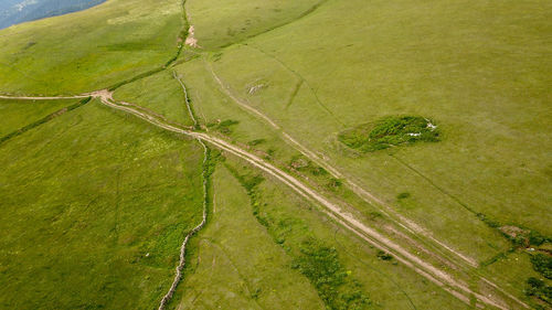 High angle view of agricultural field