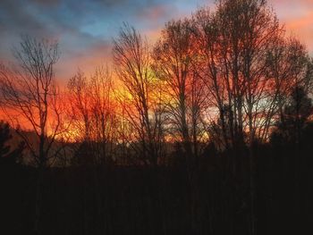 Silhouette trees against sky during sunset