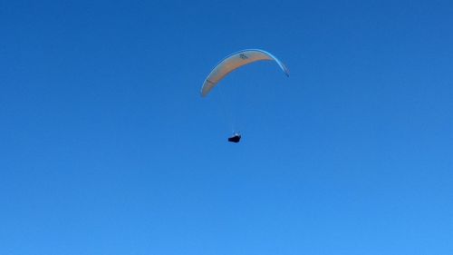 Low angle view of paragliding against blue sky