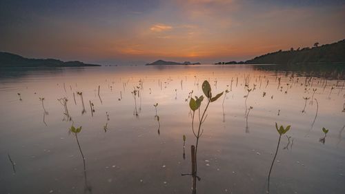 Scenic view of lake against sky during sunset