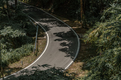 High angle view of road amidst trees