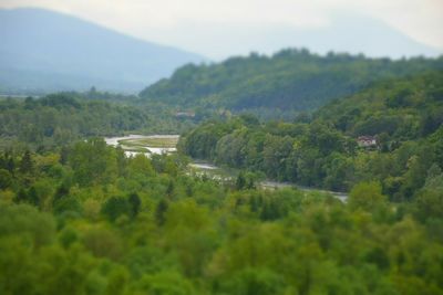 Scenic view of green landscape