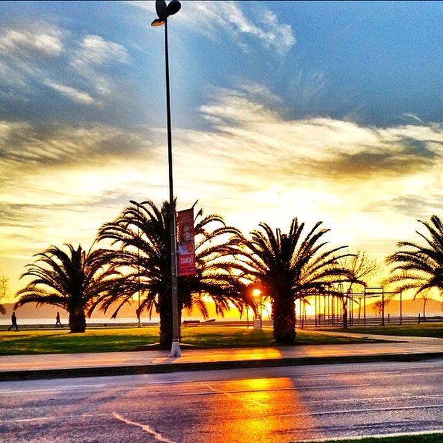 sunset, palm tree, sky, street light, tree, cloud - sky, silhouette, road, cloud, street, nature, tranquility, scenics, orange color, tranquil scene, transportation, beauty in nature, outdoors, the way forward, incidental people