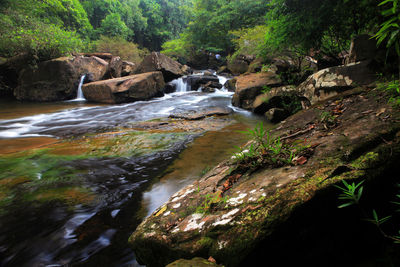 River flowing through rocks in forest