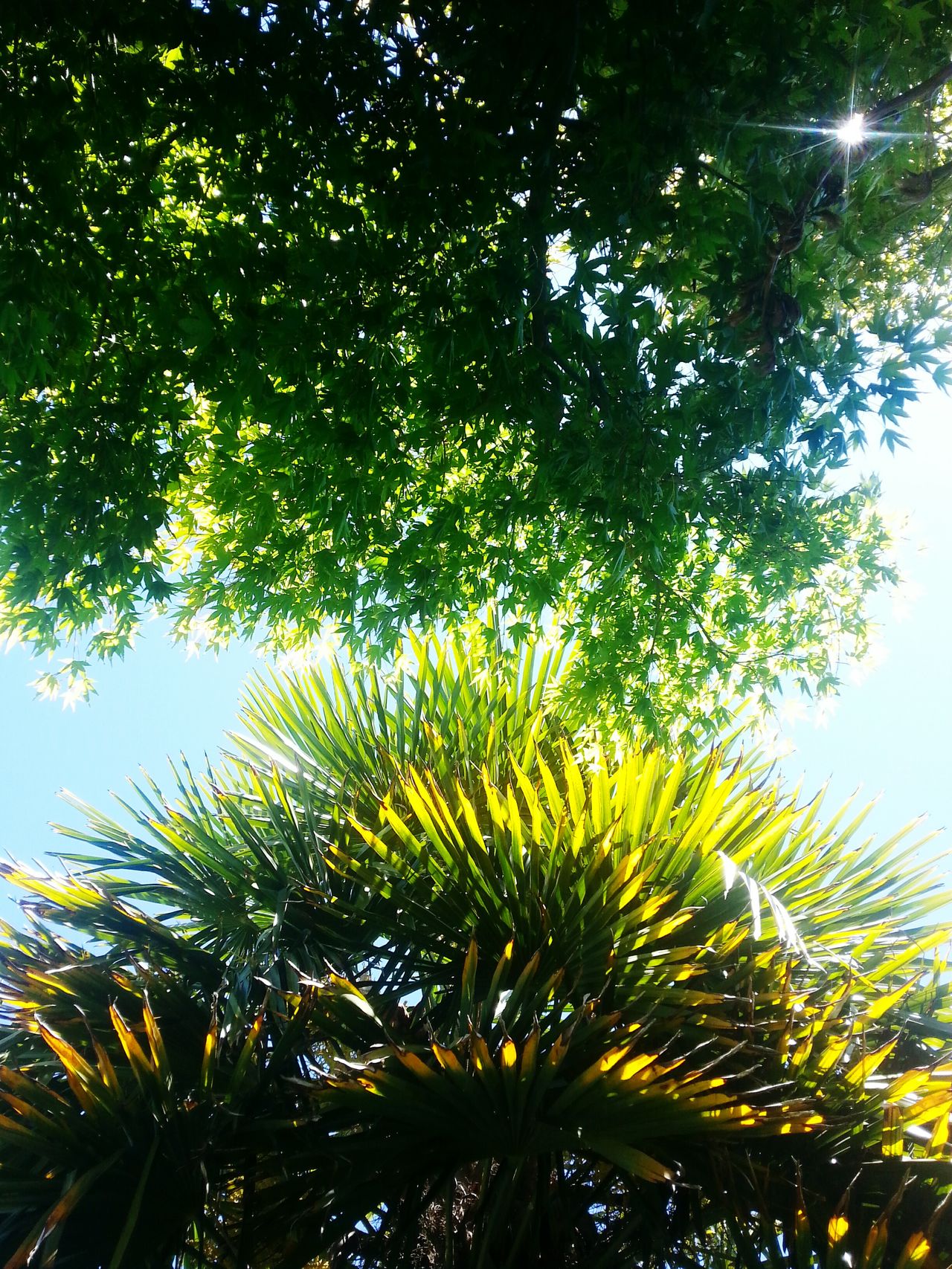 View from my hammock