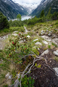 Scenic view of sea and mountains