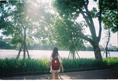 Rear view of man standing by tree against sky