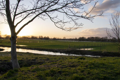 Scenic view of field against sky during sunset