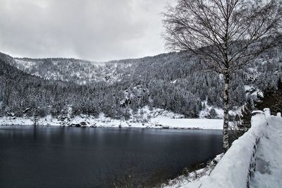 Scenic view of frozen lake against sky during winter