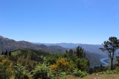 Scenic view of mountains against clear blue sky