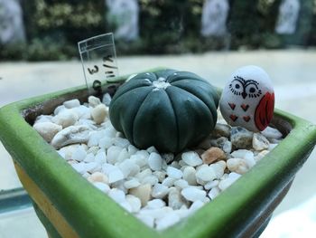 Close-up of pebbles in container on table