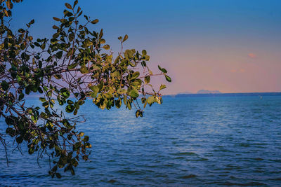 Scenic view of sea against sky at dusk