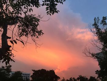 Low angle view of silhouette trees against dramatic sky