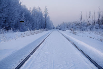 Snow covered railroad tracks amidst trees against sky