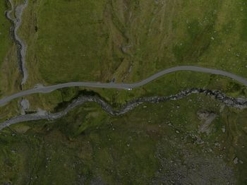 High angle view of moss on road