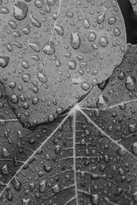 Full frame shot of wet raindrops on rainy day