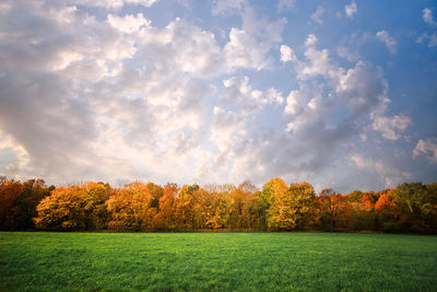 Trees on field against sky during autumn