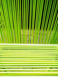 Full frame shot of green leaves