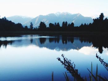 Reflection of trees in calm lake