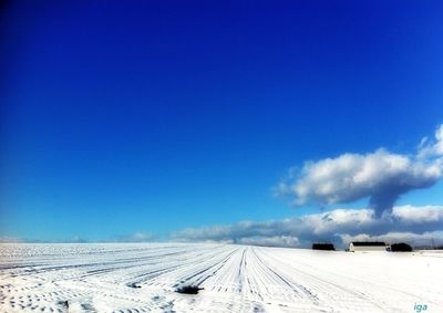 Snow covered landscape