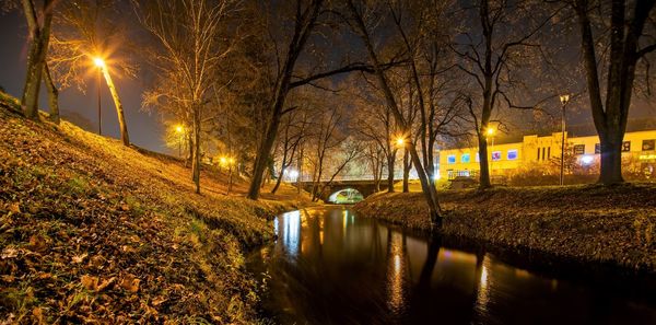 Illuminated street by trees at night