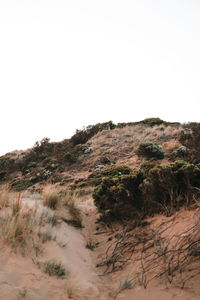 Scenic view of desert against clear sky