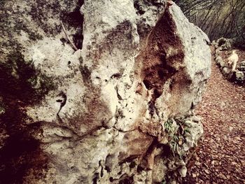 Close-up of rock
