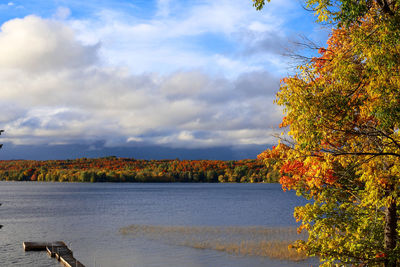 Trees by lake against sky during autumn