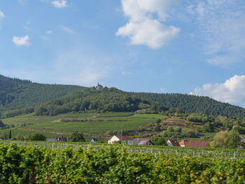 The pfalz in germany