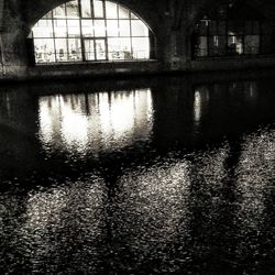 Reflection of trees on water