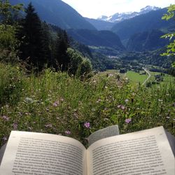 Plants growing on mountain