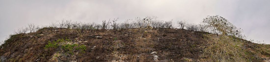 Low angle view of rocks against sky