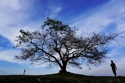 Man standing by tree on field against sky
