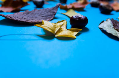 Close-up of dry leaves on table