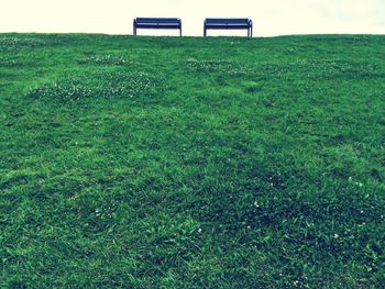 Empty benches by grassy field