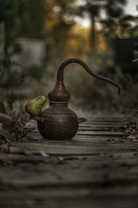 still life photography