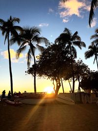 Silhouette palm trees on beach against sky during sunset